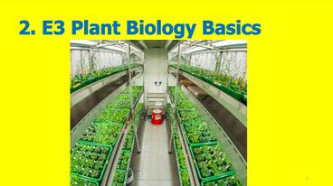 Title slide of the Plant Biology Basics Slideshow
